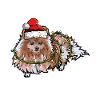 Nain de Noël chien cadeau