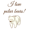 Polar bear polar bears