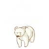 Polar bear polar bears