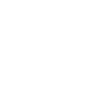 Radical Feminist