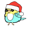 Père Noël Budgie Christmas