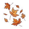 Fall Leaves