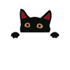 witzige katze