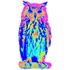 Eagle owl