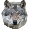 Wolf polygon geometric shapes