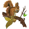 Herbst Eichhörnchen - Herbst Eichhörnchen Eichhörnchen