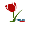 Rose italia Italian Dradeau