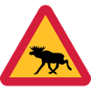Moose warning sign