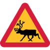 Reindeer warning sign