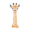 Bébé girafe