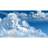 The lion and sheep