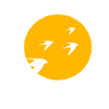 Birds bird sun