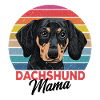 dachshund
