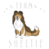 Team Sheltie - Sand