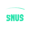 Snus non-fumeurs Nicotine Anti-tabac