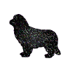 Newfoundland Dog Mosaic Black