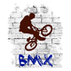BMX 2