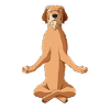 Meditate Styrian Coarse Haired Hound