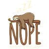 Sloth baby