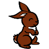 Rabbit / / cute animals