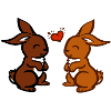 Cute bunnies / cute bunnies