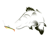 Zander Angeln