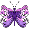 Schmetterling