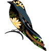 Vogel