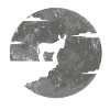 Donkey moon mule