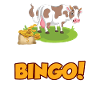 Kuhfladen Bingo Geschenk