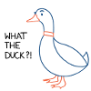Qu'est-ce que le canard?!