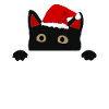 cat with Christmas hat