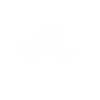 Turtle toad