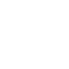 Lancashire Heeler