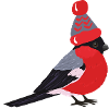 Bird with hat
