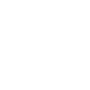 polar bear 1