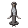 Méditant allemand Piqûre chien