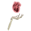 Bonehand with Heart