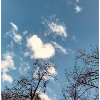 AMOUR CLOUD