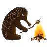 Echidna