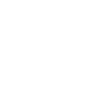 Geek