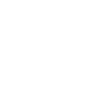 fairy