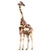 giraffe