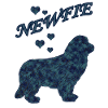 Newfoundland dog blue