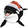 Orca disegno regalo balena di Natale