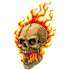Human skull with flames