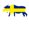 Sweden Moose