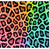 Leopard leopard skin pattern