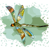 Libellule