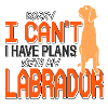 Labrador